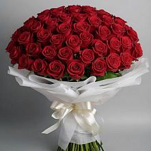 Букет 101 Красная роза Блэк Мэджик в Уссурийске