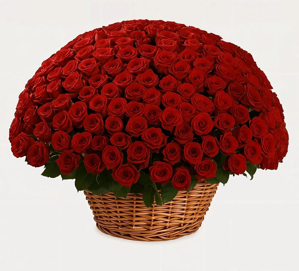 Премиум букет из: Розы в Уссурийске