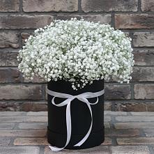 Цветочная композиция из Гипсофила в шляпной коробке #REPLACE_PRED# Уссурийске